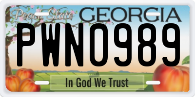 GA license plate PWN0989