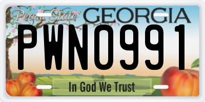 GA license plate PWN0991