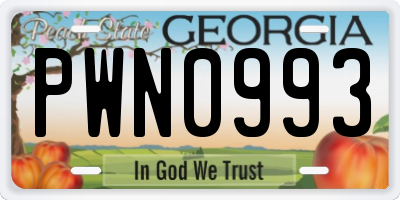 GA license plate PWN0993