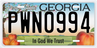 GA license plate PWN0994