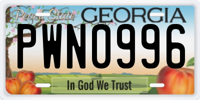 GA license plate PWN0996
