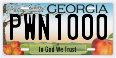 GA license plate PWN1000