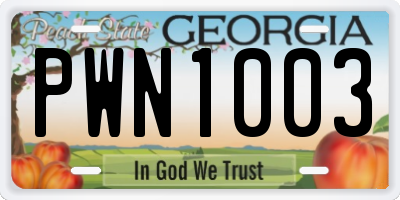 GA license plate PWN1003