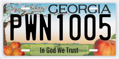 GA license plate PWN1005
