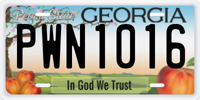 GA license plate PWN1016