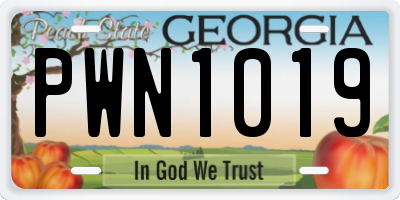 GA license plate PWN1019