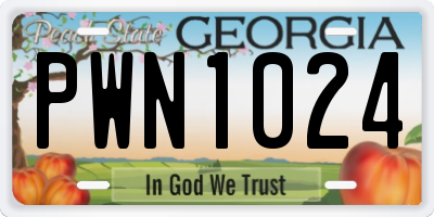 GA license plate PWN1024