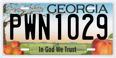 GA license plate PWN1029