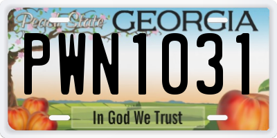 GA license plate PWN1031