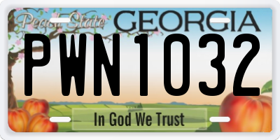 GA license plate PWN1032
