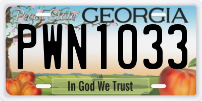 GA license plate PWN1033