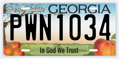 GA license plate PWN1034