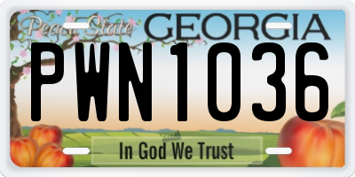 GA license plate PWN1036