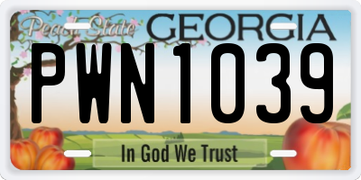 GA license plate PWN1039