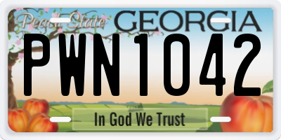 GA license plate PWN1042