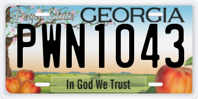 GA license plate PWN1043