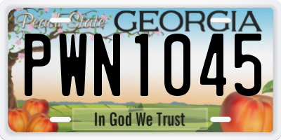 GA license plate PWN1045