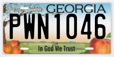 GA license plate PWN1046