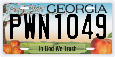 GA license plate PWN1049