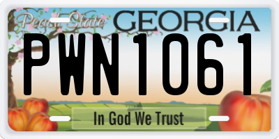GA license plate PWN1061