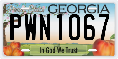 GA license plate PWN1067