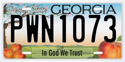 GA license plate PWN1073
