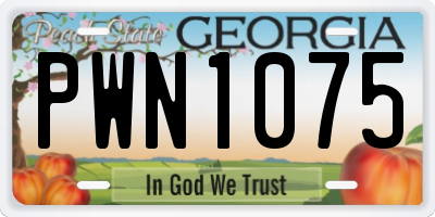GA license plate PWN1075