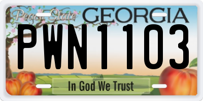 GA license plate PWN1103