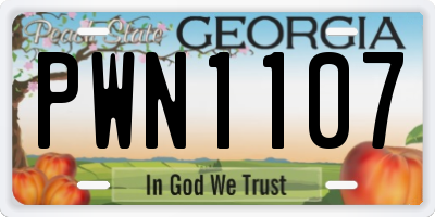 GA license plate PWN1107