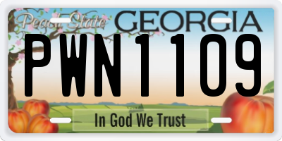 GA license plate PWN1109