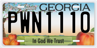 GA license plate PWN1110