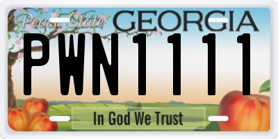 GA license plate PWN1111
