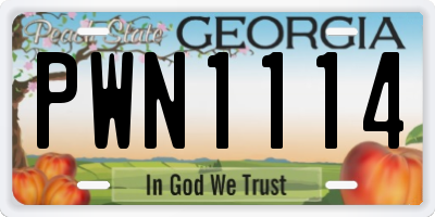 GA license plate PWN1114