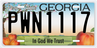 GA license plate PWN1117