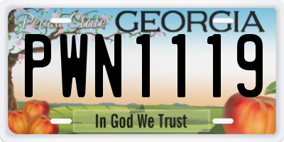 GA license plate PWN1119