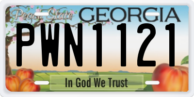 GA license plate PWN1121