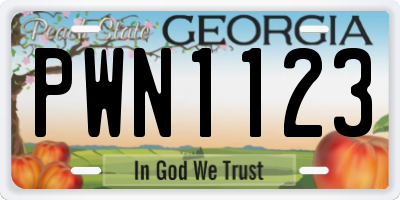 GA license plate PWN1123
