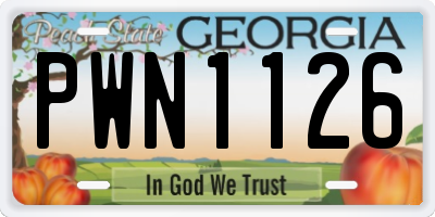 GA license plate PWN1126