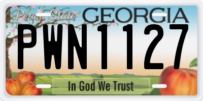 GA license plate PWN1127