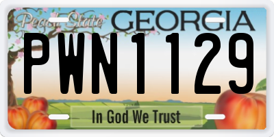 GA license plate PWN1129