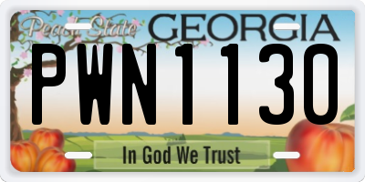 GA license plate PWN1130