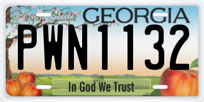 GA license plate PWN1132