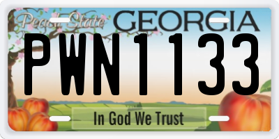 GA license plate PWN1133