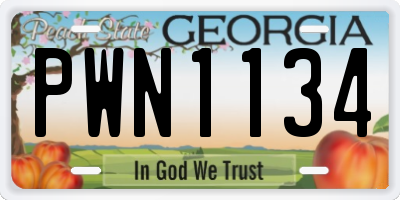 GA license plate PWN1134