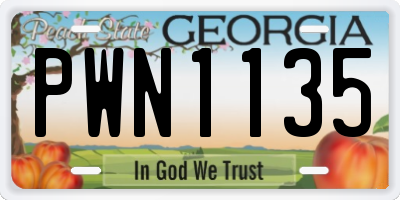 GA license plate PWN1135
