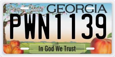 GA license plate PWN1139