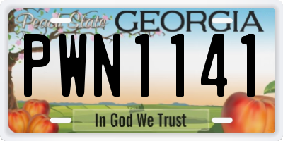 GA license plate PWN1141