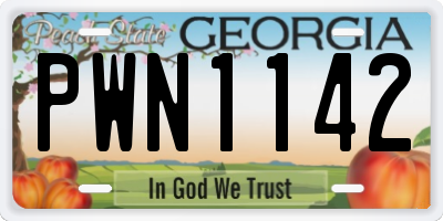 GA license plate PWN1142