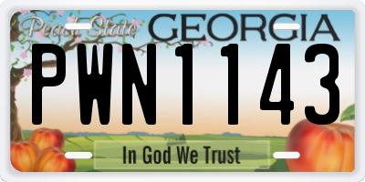 GA license plate PWN1143