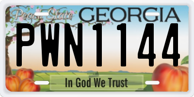 GA license plate PWN1144